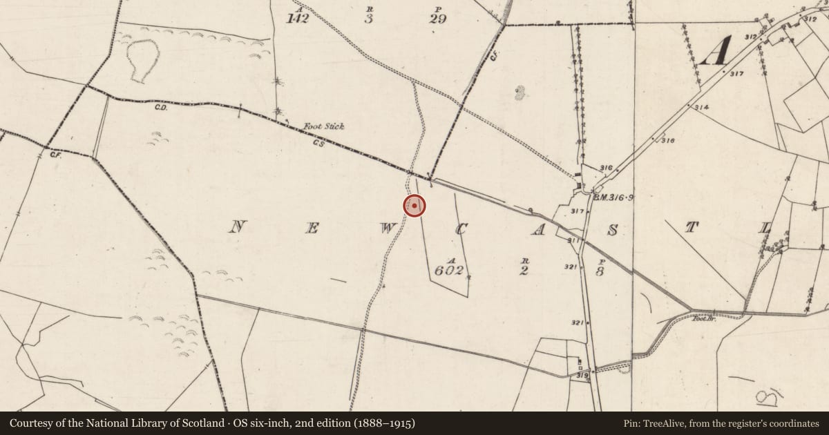 Ordnance Survey six-inch map, 2nd edition (1888–1915) covering the location of Quarry, Newcastle (Aughrim Par.), County Galway, with a pin at the register's coordinates