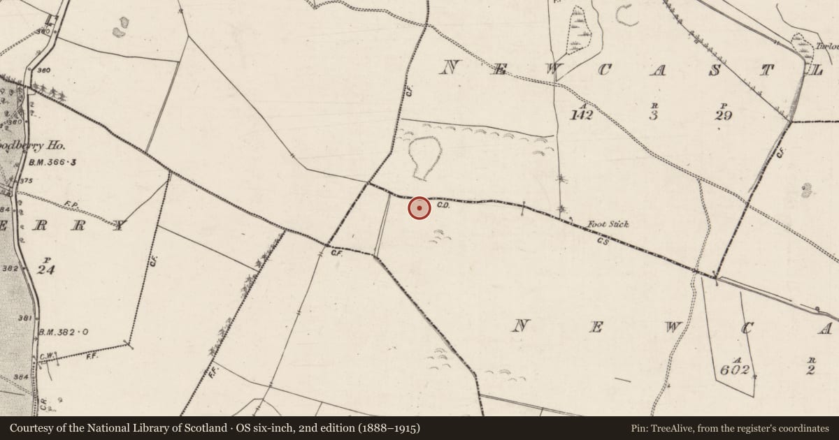 Ordnance Survey six-inch map, 2nd edition (1888–1915) covering the location of Mass-rock, Newcastle (Aughrim Par.), County Galway, with a pin at the register's coordinates