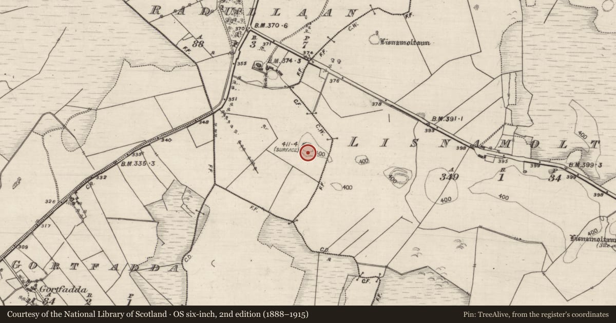 Ordnance Survey six-inch map, 2nd edition (1888–1915) covering the location of Enclosure, Radullaan, County Galway, with a pin at the register's coordinates