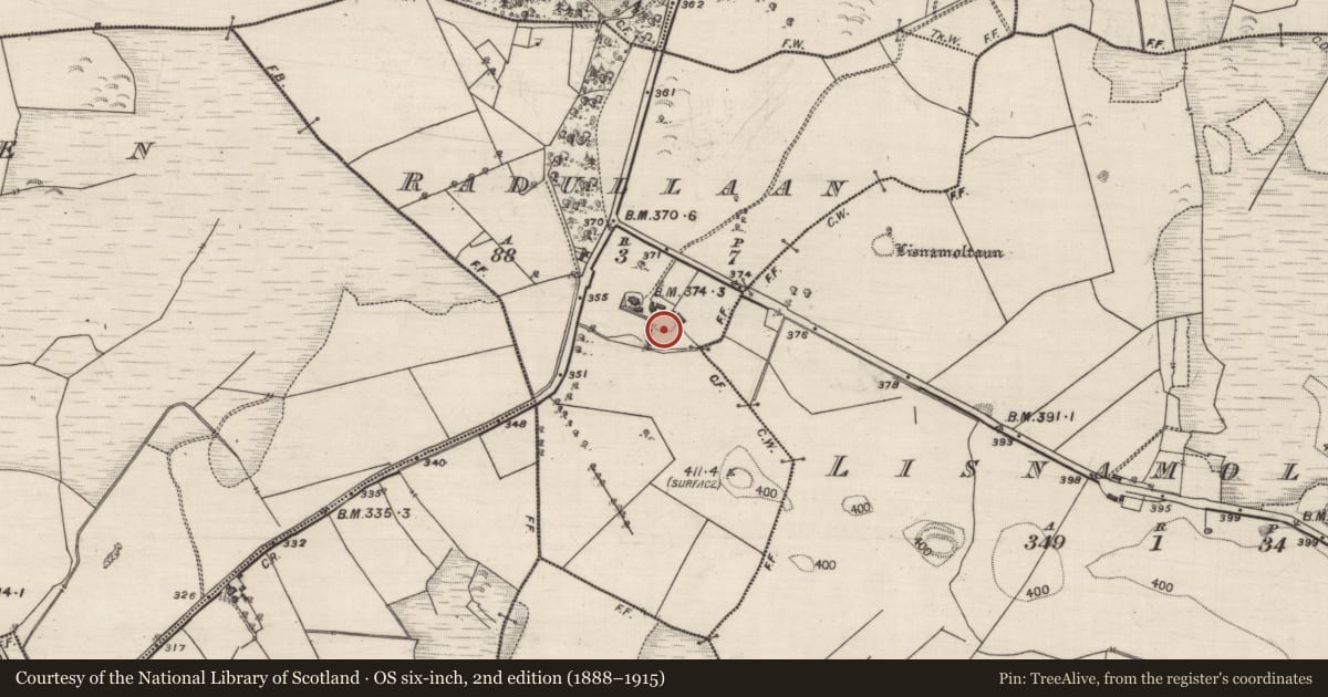 Ordnance Survey six-inch map, 2nd edition (1888–1915) covering the location of Enclosure, Radullaan, County Galway, with a pin at the register's coordinates