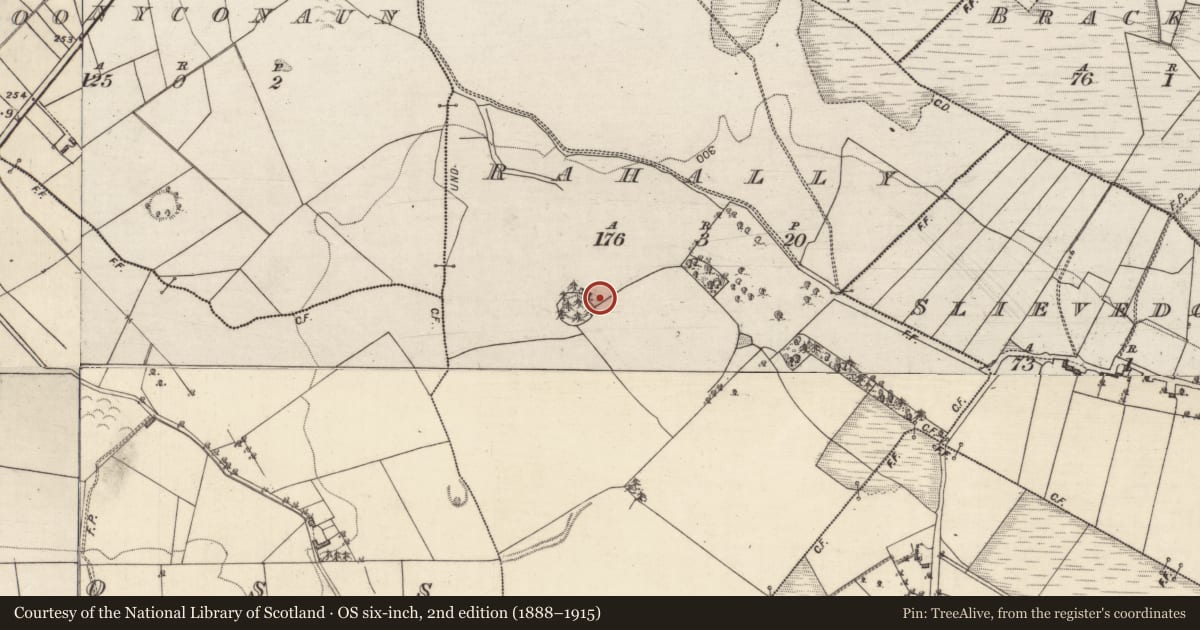 Ordnance Survey six-inch map, 2nd edition (1888–1915) covering the location of Hillfort, Rahally, County Galway, with a pin at the register's coordinates