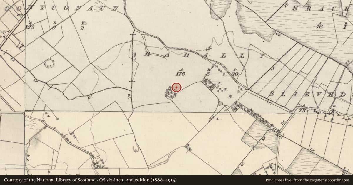 Ordnance Survey six-inch map, 2nd edition (1888–1915) covering the location of Enclosure, Rahally, County Galway, with a pin at the register's coordinates
