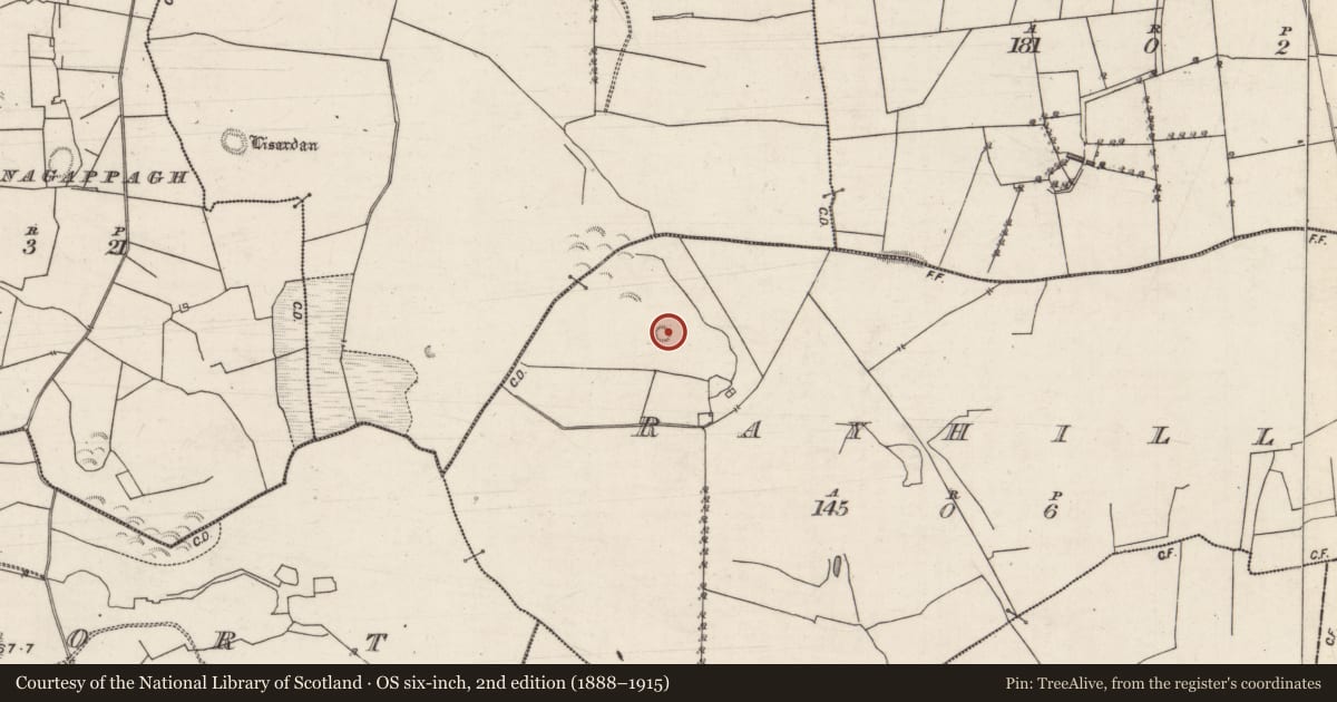 Ordnance Survey six-inch map, 2nd edition (1888–1915) covering the location of Enclosure, Rayhil, County Galway, with a pin at the register's coordinates