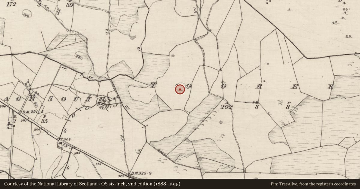 Ordnance Survey six-inch map, 2nd edition (1888–1915) covering the location of Ringfort - unclassified, Tooreen, County Galway, with a pin at the register's coordinates