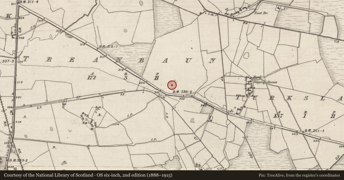 Ordnance Survey six-inch map, 2nd edition (1888–1915) covering the location of Souterrain, Treanbaun, County Galway, with a pin at the register's coordinates