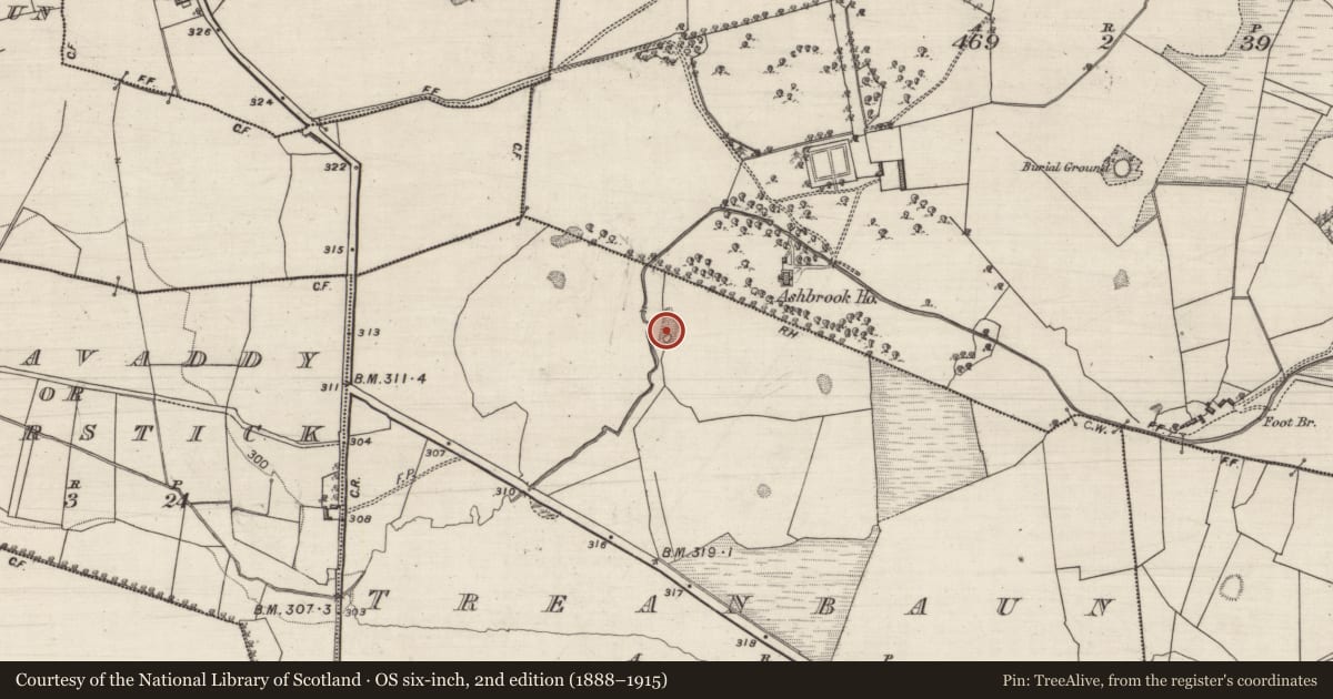 Ordnance Survey six-inch map, 2nd edition (1888–1915) covering the location of Quarry, Treanbaun, County Galway, with a pin at the register's coordinates