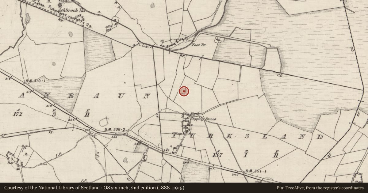 Ordnance Survey six-inch map, 2nd edition (1888–1915) covering the location of Ringfort - unclassified, Turksland, County Galway, with a pin at the register's coordinates