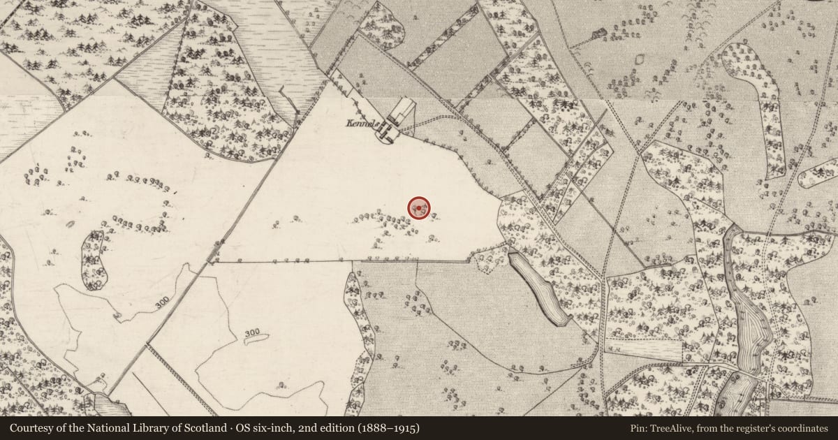 Ordnance Survey six-inch map, 2nd edition (1888–1915) covering the location of Ringfort - rath, Woodlawn, County Galway, with a pin at the register's coordinates