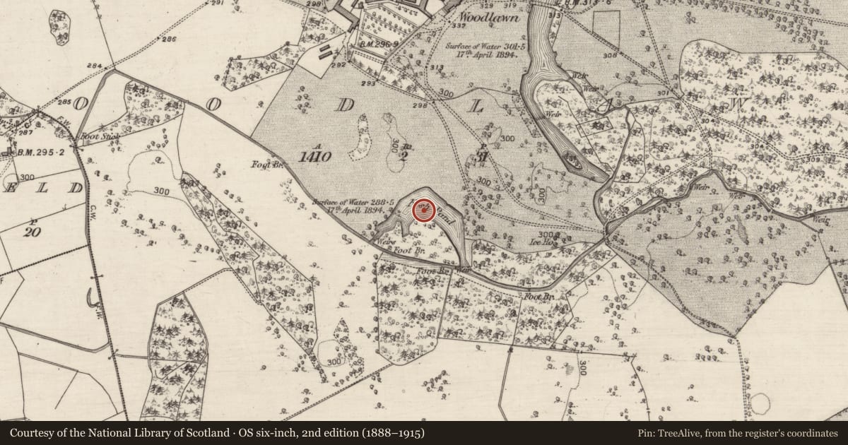 Ordnance Survey six-inch map, 2nd edition (1888–1915) covering the location of Fish-pond, Woodlawn, County Galway, with a pin at the register's coordinates