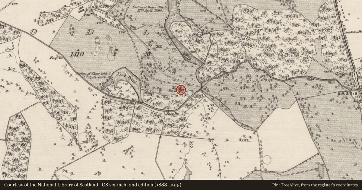 Ordnance Survey six-inch map, 2nd edition (1888–1915) covering the location of Icehouse, Woodlawn, County Galway, with a pin at the register's coordinates