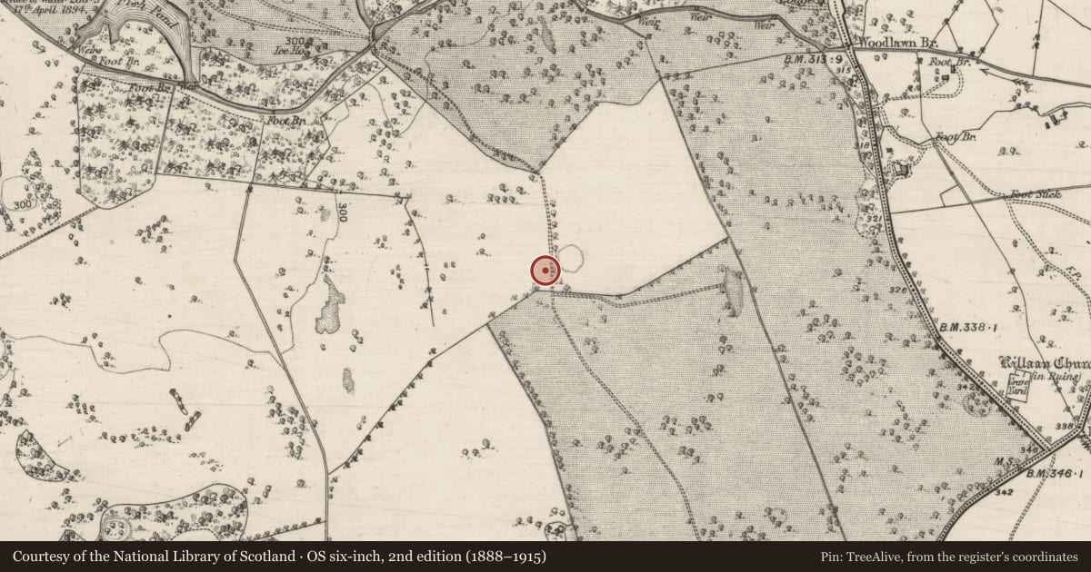 Ordnance Survey six-inch map, 2nd edition (1888–1915) covering the location of Ringfort - rath, Woodlawn, County Galway, with a pin at the register's coordinates