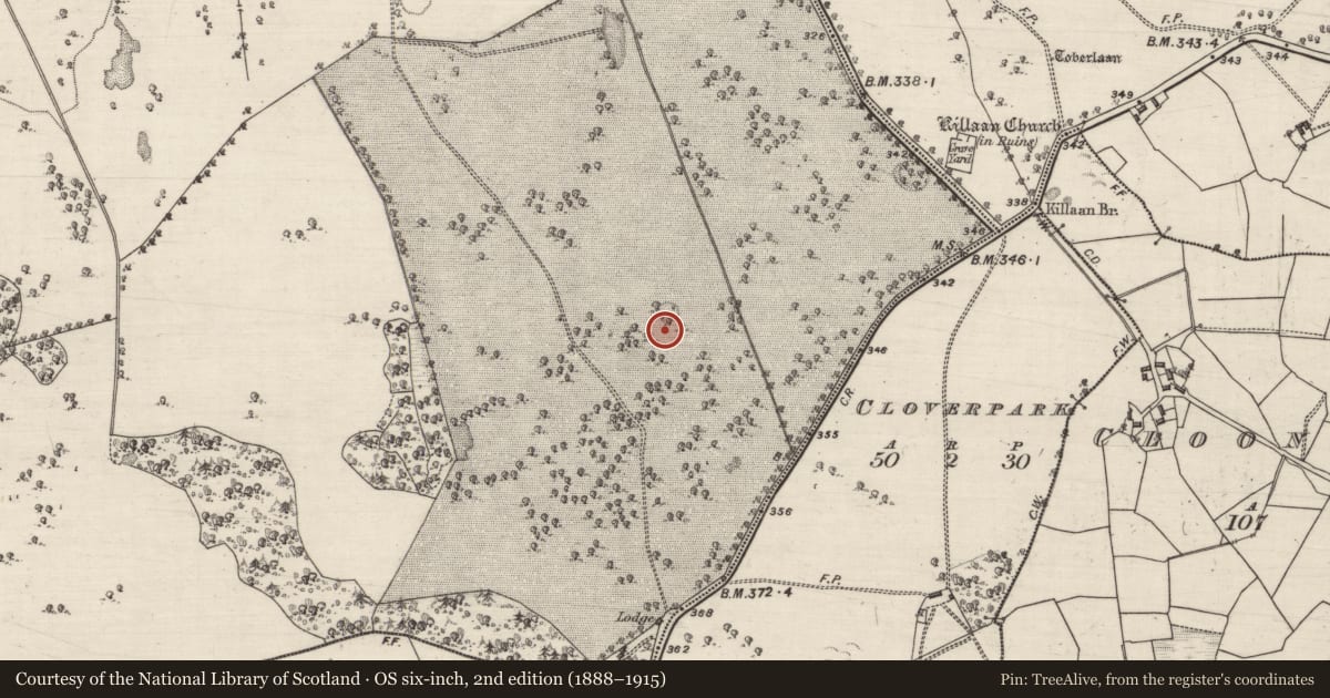 Ordnance Survey six-inch map, 2nd edition (1888–1915) covering the location of Enclosure, Woodlawn, County Galway, with a pin at the register's coordinates
