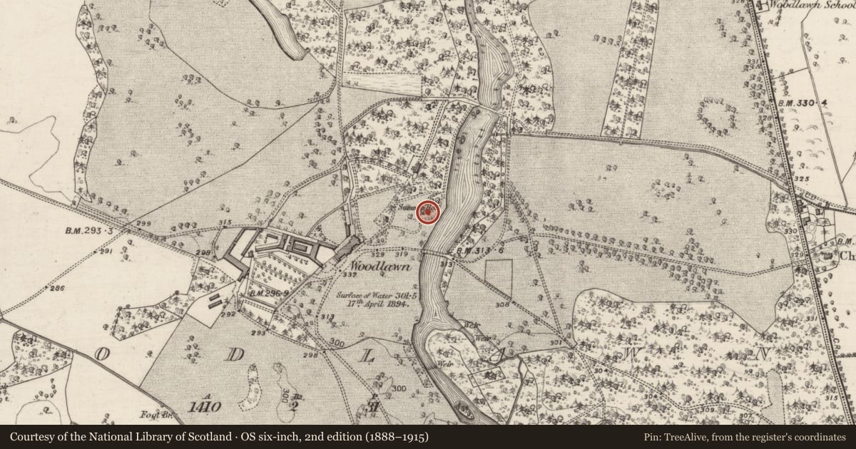 Ordnance Survey six-inch map, 2nd edition (1888–1915) covering the location of Enclosure, Woodlawn, County Galway, with a pin at the register's coordinates