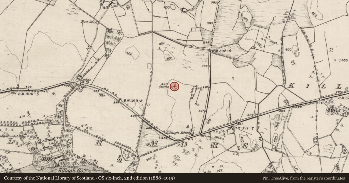Ordnance Survey six-inch map, 2nd edition (1888–1915) covering the location of Souterrain, Killagh More, County Galway, with a pin at the register's coordinates