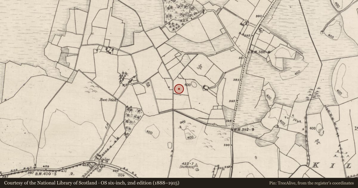 Ordnance Survey six-inch map, 2nd edition (1888–1915) covering the location of Ringfort - unclassified, Killagh More, County Galway, with a pin at the register's coordinates