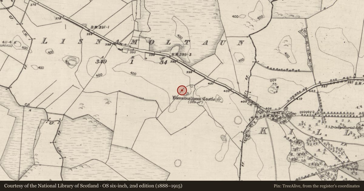 Ordnance Survey six-inch map, 2nd edition (1888–1915) covering the location of Ringfort - rath, Lisnamoltaun, County Galway, with a pin at the register's coordinates