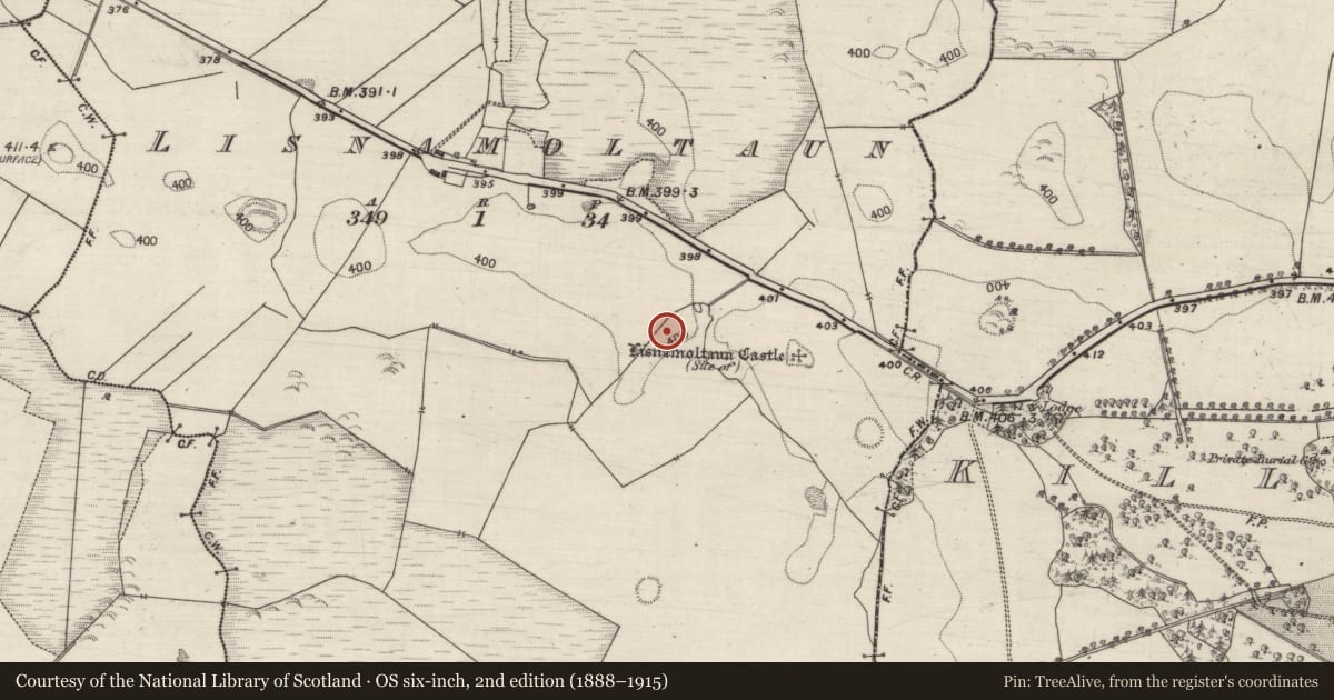 Ordnance Survey six-inch map, 2nd edition (1888–1915) covering the location of Souterrain, Lisnamoltaun, County Galway, with a pin at the register's coordinates