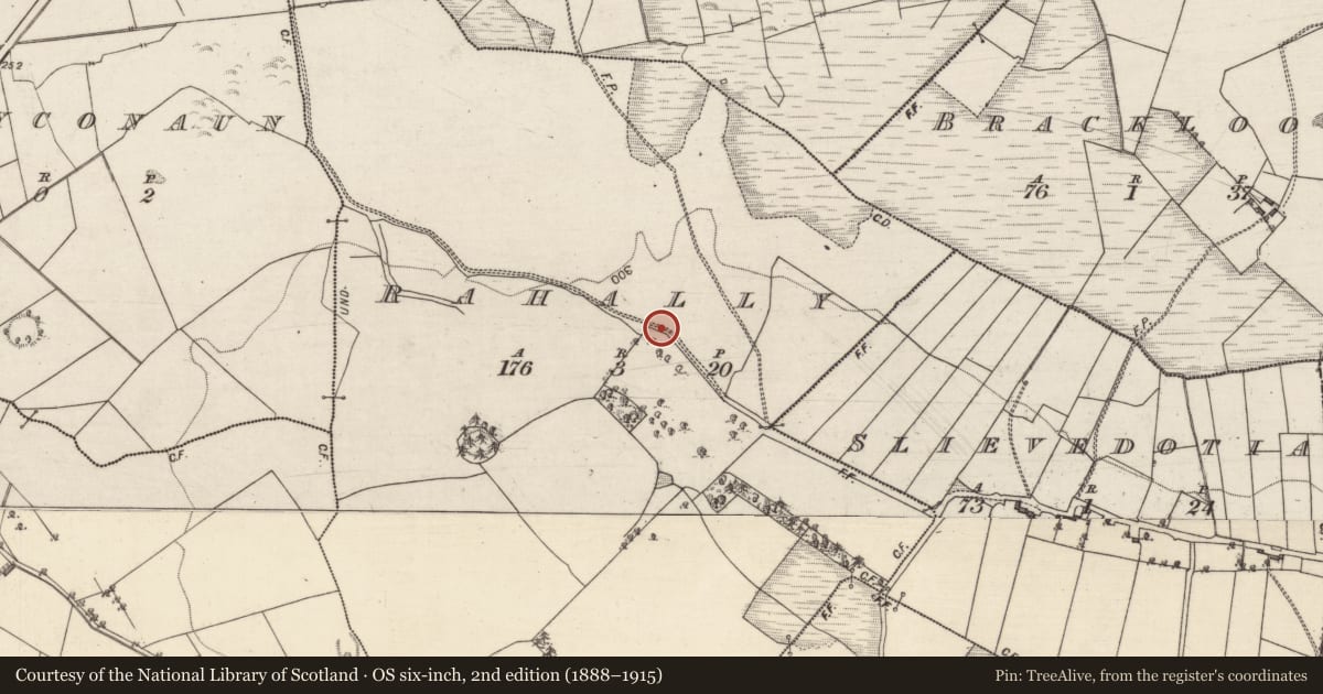 Ordnance Survey six-inch map, 2nd edition (1888–1915) covering the location of Ringfort - rath, Rahally, County Galway, with a pin at the register's coordinates