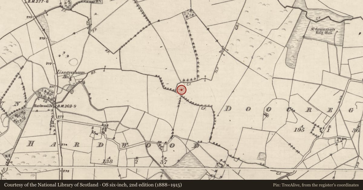 Ordnance Survey six-inch map, 2nd edition (1888–1915) covering the location of Ringfort - rath, Ballyeighter, Doocreggaun, County Galway, with a pin at the register's coordinates