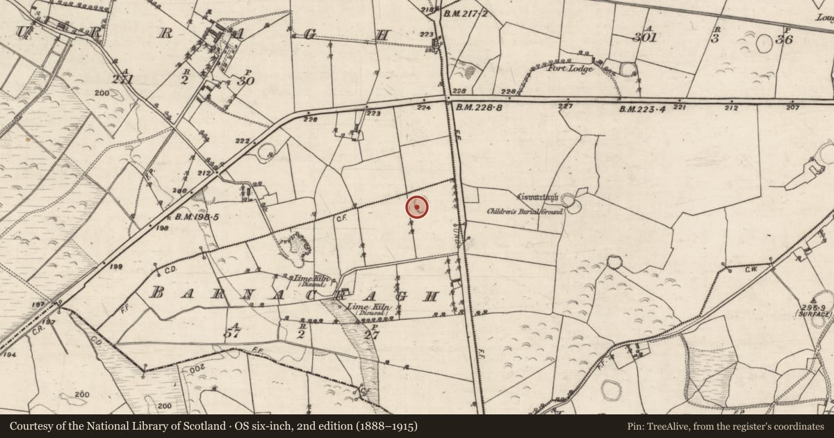 Ordnance Survey six-inch map, 2nd edition (1888–1915) covering the location of Ringfort - rath, Barnacragh, County Galway, with a pin at the register's coordinates