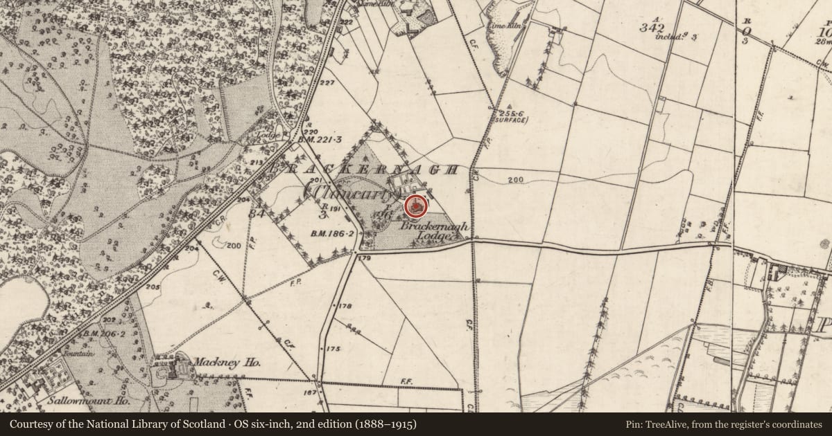 Ordnance Survey six-inch map, 2nd edition (1888–1915) covering the location of Country house, Brackernagh (Clancarty), County Galway, with a pin at the register's coordinates