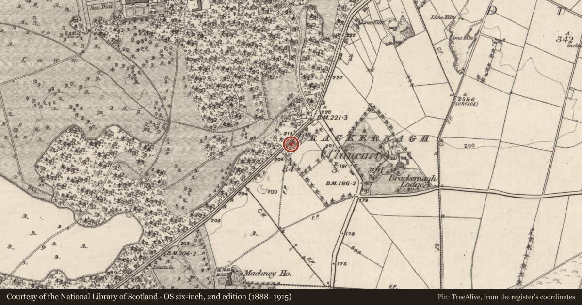 Ordnance Survey six-inch map, 2nd edition (1888–1915) covering the location of Tollhouse, Brackernagh (Clancarty), County Galway, with a pin at the register's coordinates