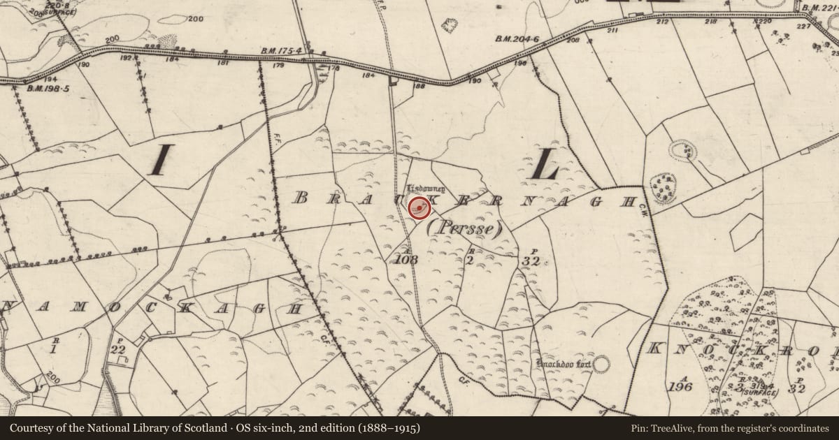Ordnance Survey six-inch map, 2nd edition (1888–1915) covering the location of Ringfort - unclassified, Brackernagh (Persse), County Galway, with a pin at the register's coordinates