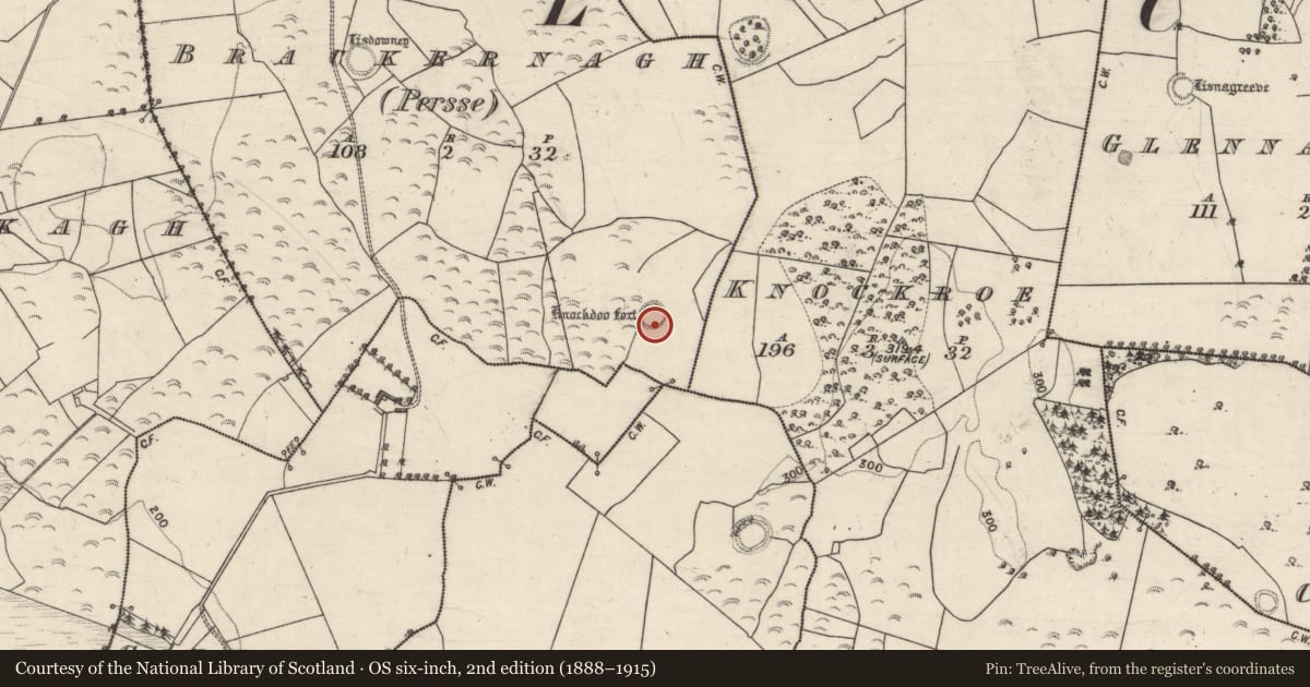Ordnance Survey six-inch map, 2nd edition (1888–1915) covering the location of Enclosure, Brackernagh (Persse), County Galway, with a pin at the register's coordinates