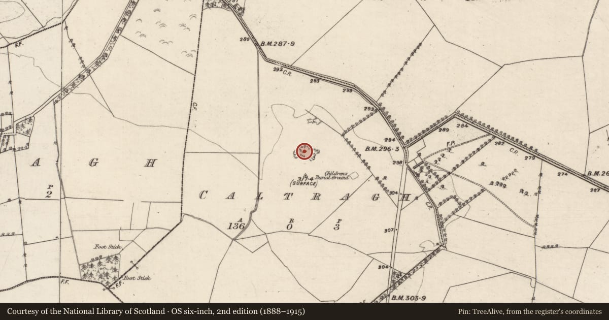 Ordnance Survey six-inch map, 2nd edition (1888–1915) covering the location of Quarry, Caltragh, County Galway, with a pin at the register's coordinates