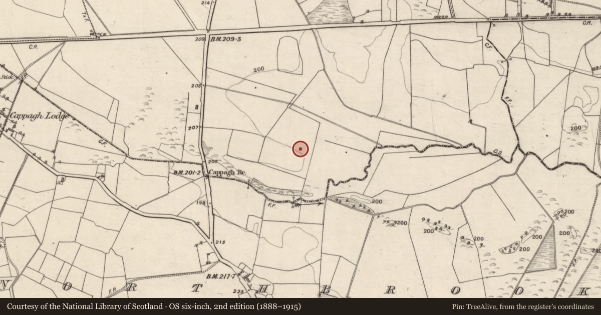 Ordnance Survey six-inch map, 2nd edition (1888–1915) covering the location of Standing stone, Cappagh, County Galway, with a pin at the register's coordinates