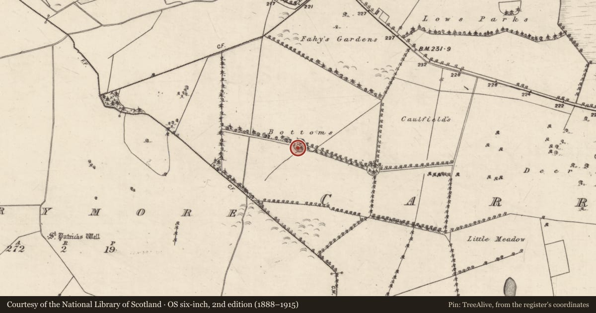 Ordnance Survey six-inch map, 2nd edition (1888–1915) covering the location of Designed landscape - tree-ring, Carrowmore (Aughrim ED ), County Galway, with a pin at the register's coordinates