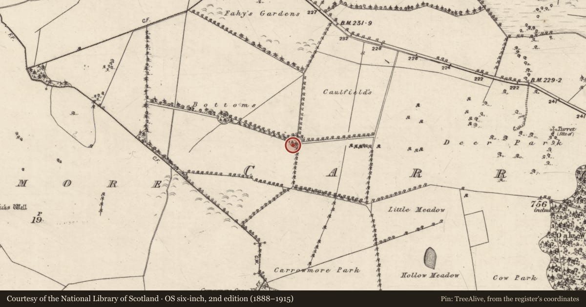 Ordnance Survey six-inch map, 2nd edition (1888–1915) covering the location of Designed landscape - tree-ring, Carrowmore (Aughrim ED ), County Galway, with a pin at the register's coordinates