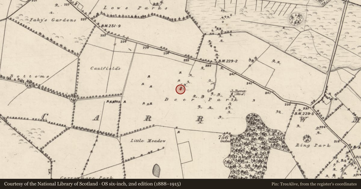 Ordnance Survey six-inch map, 2nd edition (1888–1915) covering the location of Designed landscape - tree-ring, Carrowmore (Aughrim ED ), County Galway, with a pin at the register's coordinates