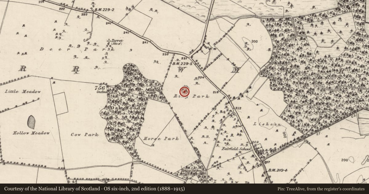 Ordnance Survey six-inch map, 2nd edition (1888–1915) covering the location of Designed landscape - tree-ring, Carrowmore (Aughrim ED ), County Galway, with a pin at the register's coordinates