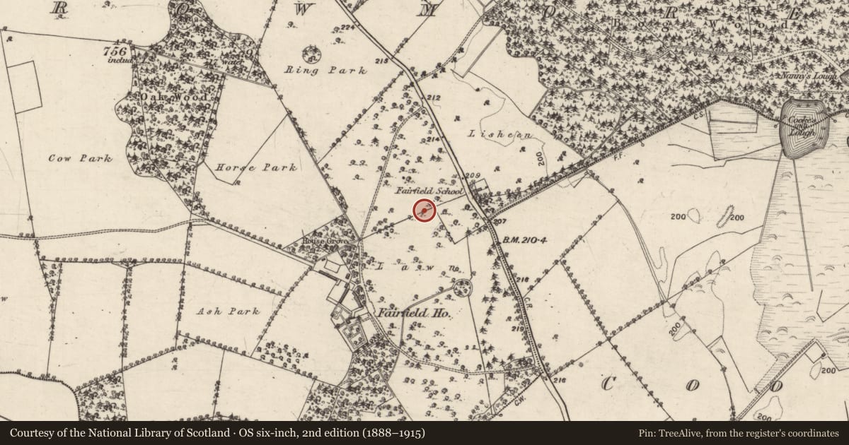 Ordnance Survey six-inch map, 2nd edition (1888–1915) covering the location of Designed landscape - tree-ring, Carrowmore (Aughrim ED ), County Galway, with a pin at the register's coordinates