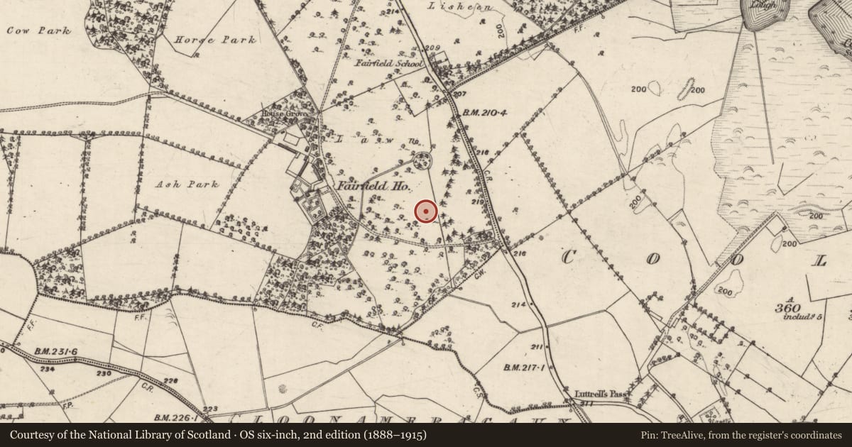 Ordnance Survey six-inch map, 2nd edition (1888–1915) covering the location of Mound, Carrowmore (Aughrim ED ), County Galway, with a pin at the register's coordinates