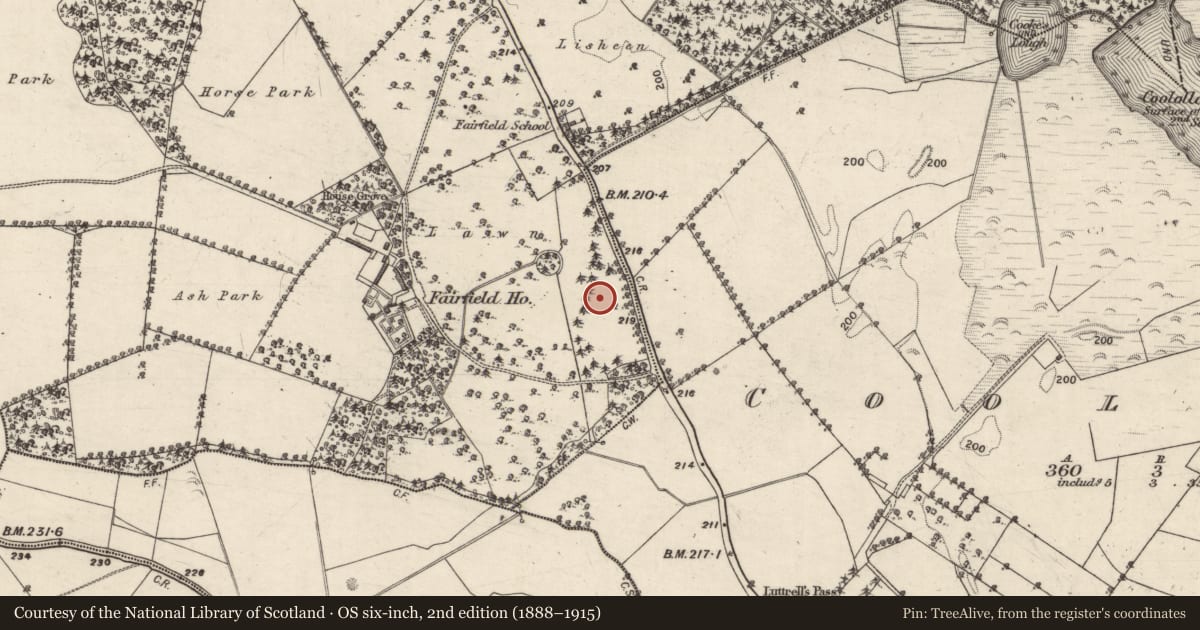 Ordnance Survey six-inch map, 2nd edition (1888–1915) covering the location of Mound, Carrowmore (Aughrim ED ), County Galway, with a pin at the register's coordinates