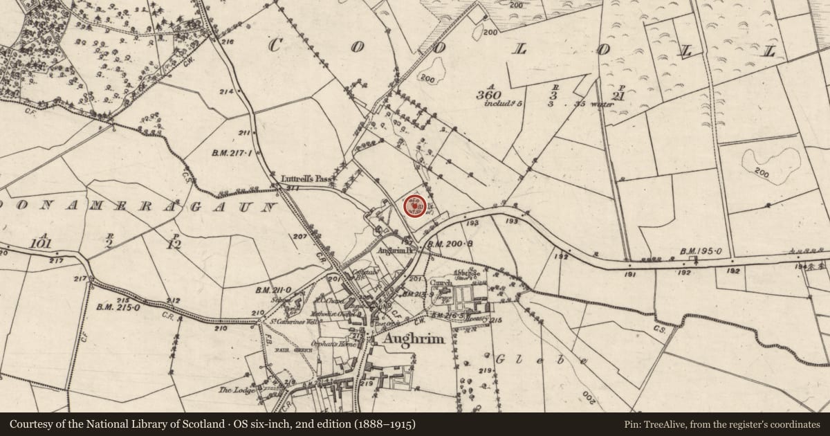 Ordnance Survey six-inch map, 2nd edition (1888–1915) covering the location of Castle - Anglo-Norman masonry castle, Coololla, County Galway, with a pin at the register's coordinates