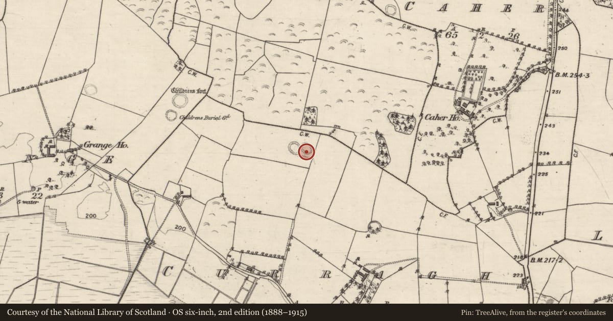 Ordnance Survey six-inch map, 2nd edition (1888–1915) covering the location of Ringfort - rath, Curragh, County Galway, with a pin at the register's coordinates