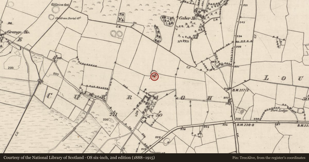 Ordnance Survey six-inch map, 2nd edition (1888–1915) covering the location of Ringfort - unclassified, Curragh, County Galway, with a pin at the register's coordinates