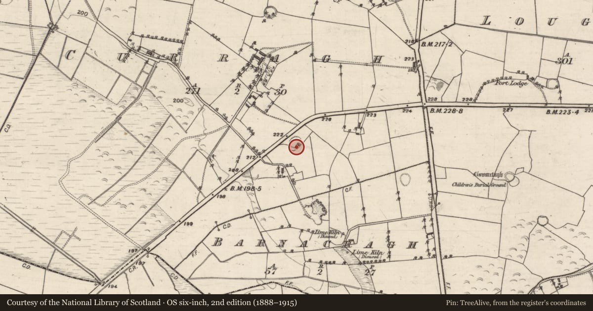 Ordnance Survey six-inch map, 2nd edition (1888–1915) covering the location of Ringfort - rath, Curragh, County Galway, with a pin at the register's coordinates