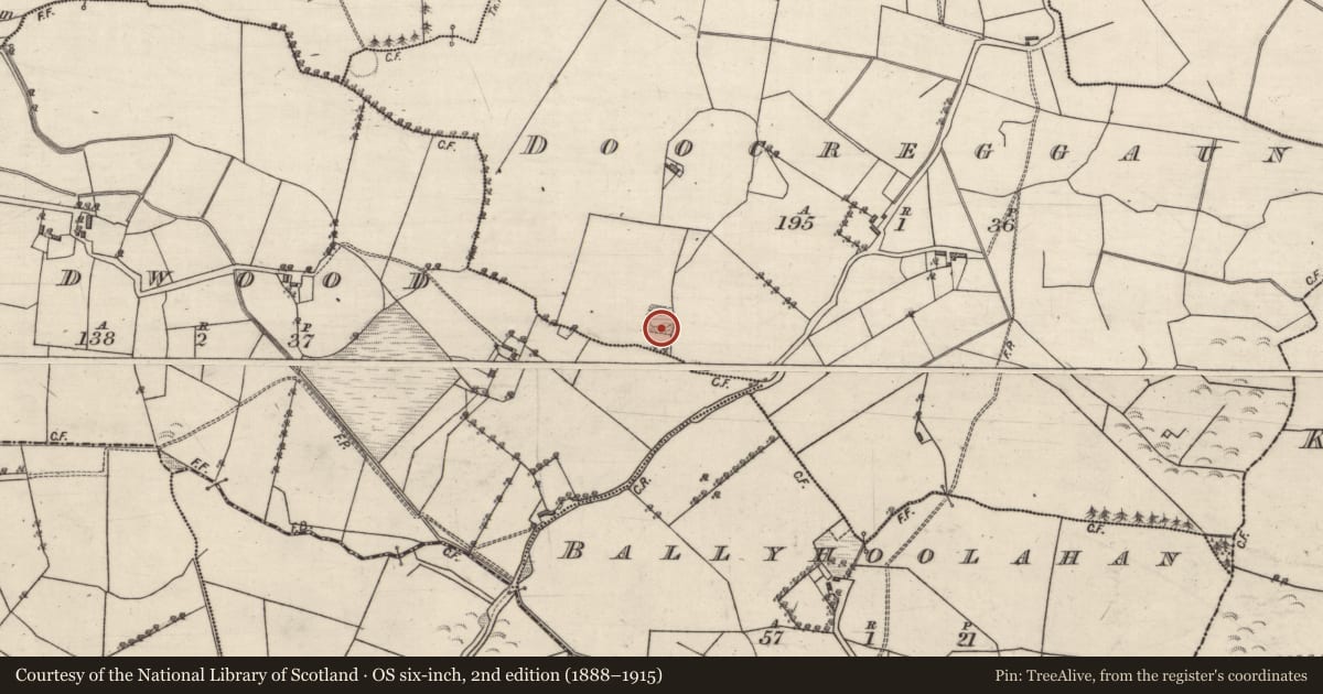 Ordnance Survey six-inch map, 2nd edition (1888–1915) covering the location of Enclosure, Doocreggaun, County Galway, with a pin at the register's coordinates
