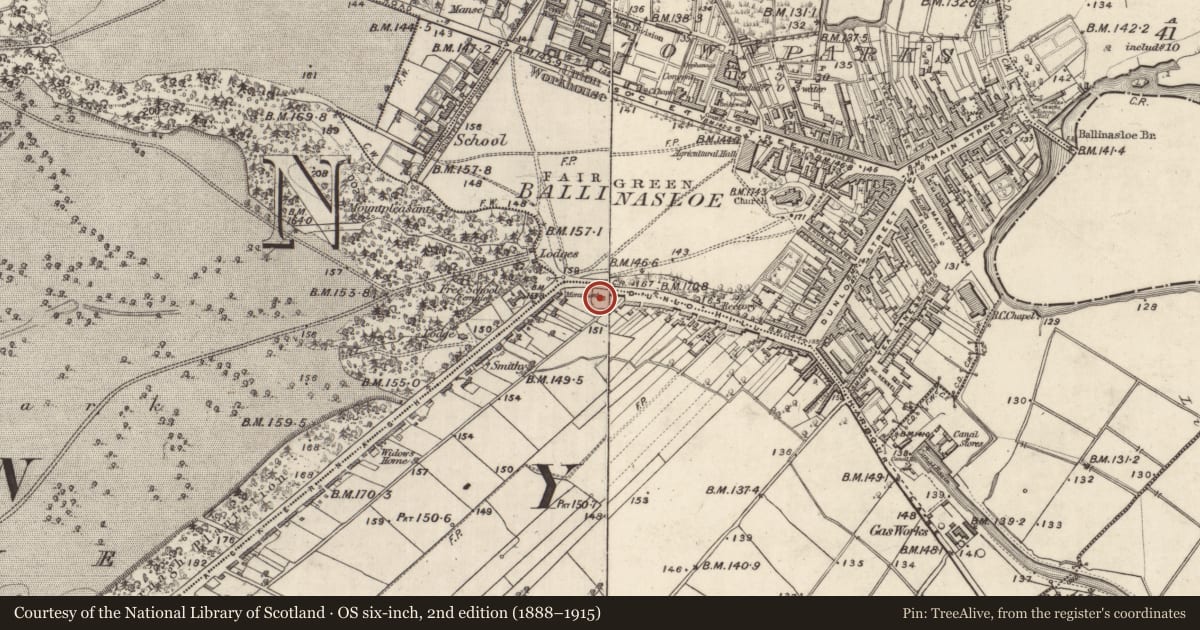 Ordnance Survey six-inch map, 2nd edition (1888–1915) covering the location of Monumental structure, Dunlo, County Galway, with a pin at the register's coordinates