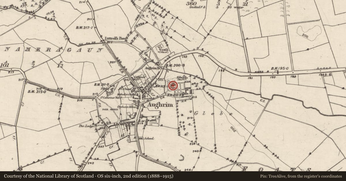 Ordnance Survey six-inch map, 2nd edition (1888–1915) covering the location of Church, Foats Or Levallynearl, County Galway, with a pin at the register's coordinates