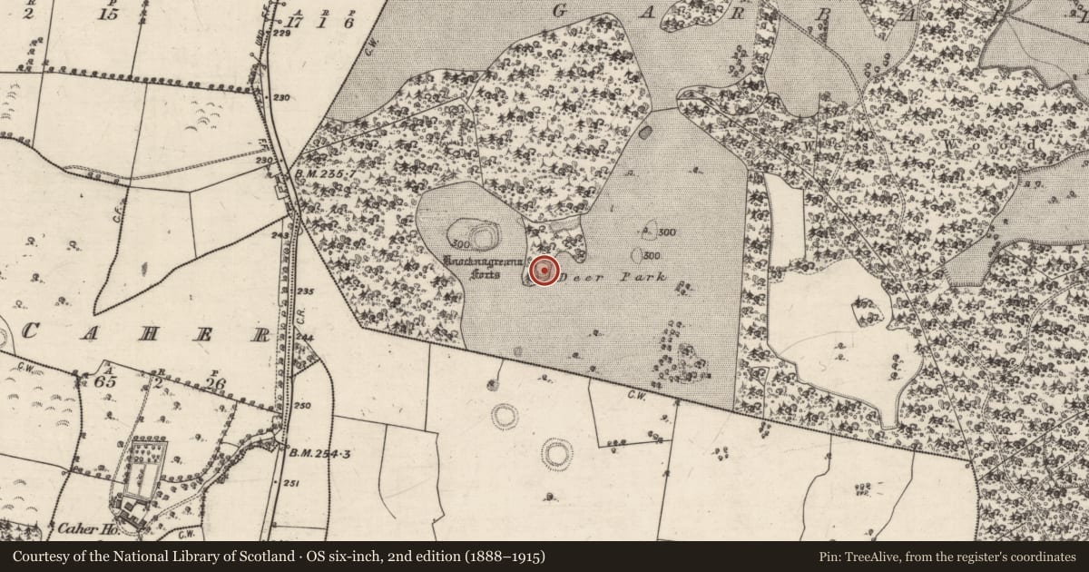 Ordnance Survey six-inch map, 2nd edition (1888–1915) covering the location of Enclosure, Garbally Demesne, County Galway, with a pin at the register's coordinates