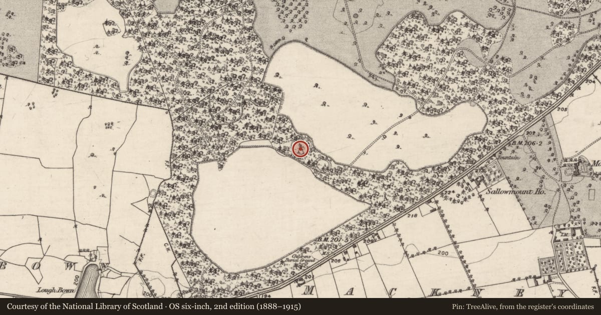 Ordnance Survey six-inch map, 2nd edition (1888–1915) covering the location of Ringfort - rath, Garbally Demesne, County Galway, with a pin at the register's coordinates