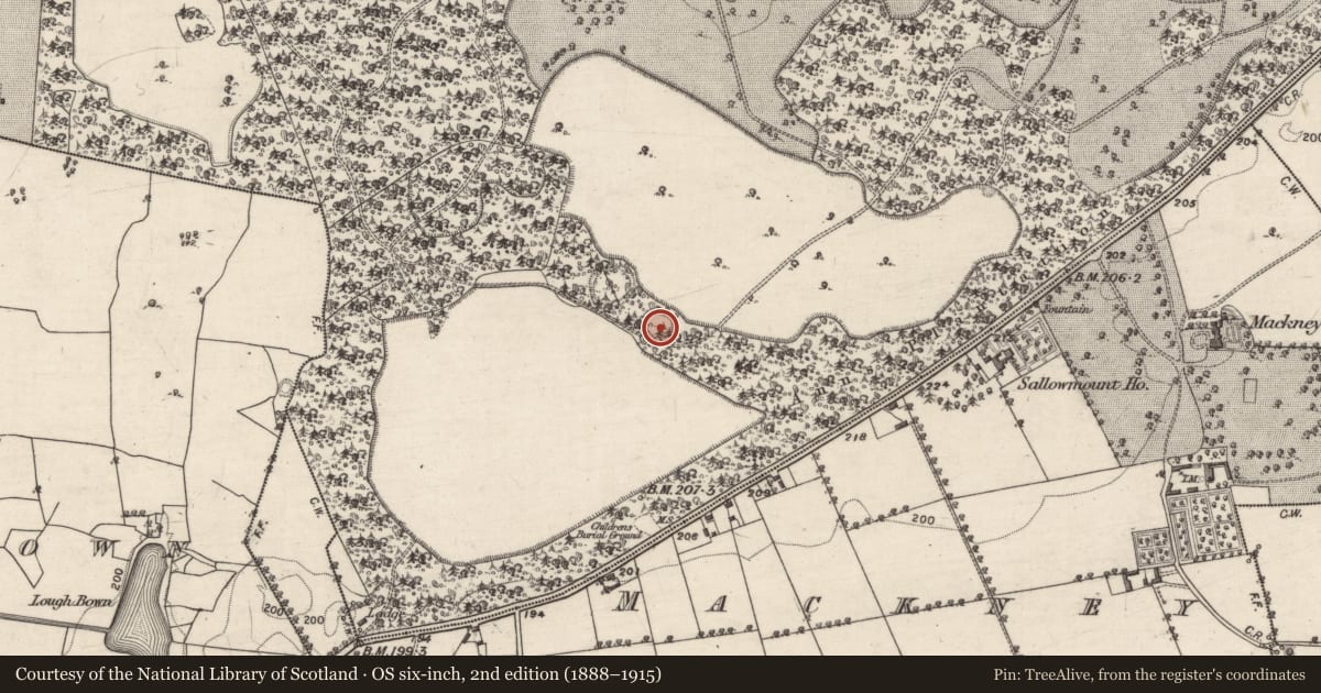 Ordnance Survey six-inch map, 2nd edition (1888–1915) covering the location of Ringfort - rath, Garbally Demesne, County Galway, with a pin at the register's coordinates