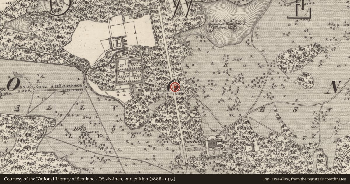 Ordnance Survey six-inch map, 2nd edition (1888–1915) covering the location of Tunnel, Garbally Demesne, County Galway, with a pin at the register's coordinates