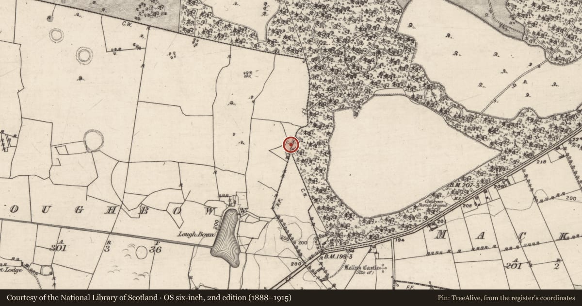 Ordnance Survey six-inch map, 2nd edition (1888–1915) covering the location of Enclosure, Garbally Demesne, Loughbown, County Galway, with a pin at the register's coordinates