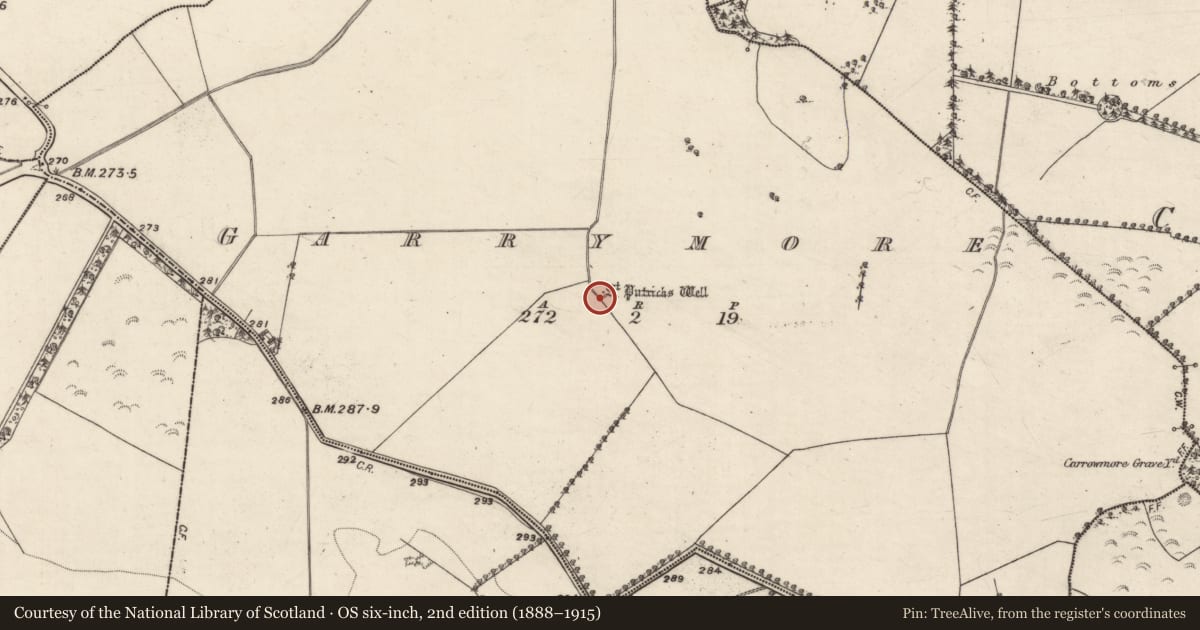 Ordnance Survey six-inch map, 2nd edition (1888–1915) covering the location of Ritual site - holy well, Garrymore (Aughrim ED ), County Galway, with a pin at the register's coordinates